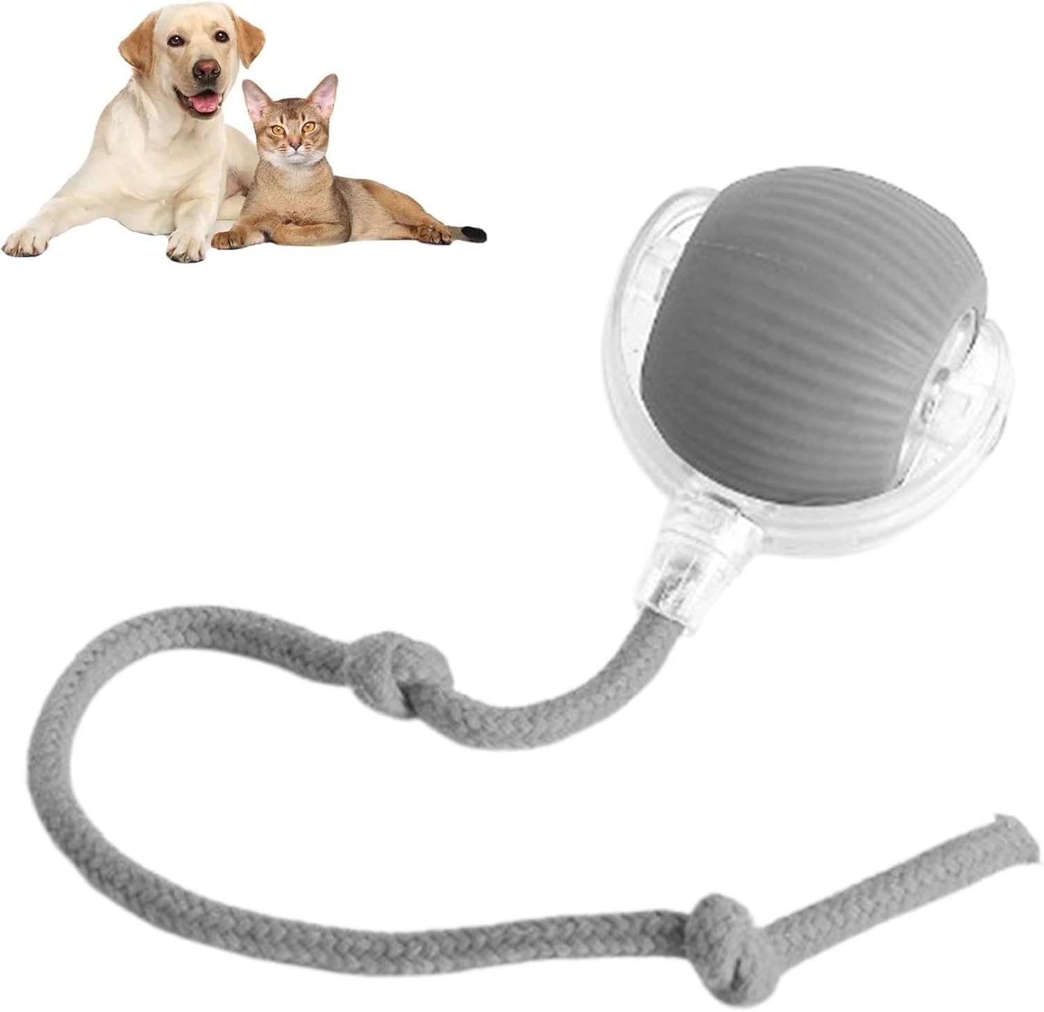Rolling Ball Ball For Cats And Dogs . Smart Ball Toy Interactive Ball Toy 360 .Smart Automatic Rolling Pet Ball